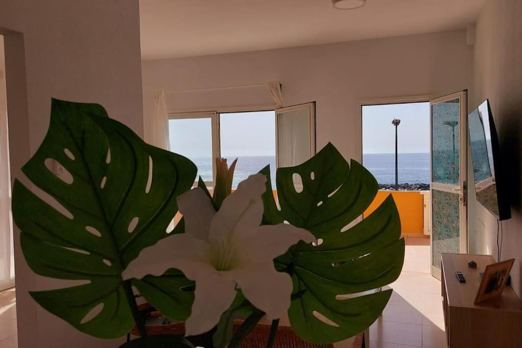 Apartmán La Marea Baja Puertito de Guimar Exteriér fotografie